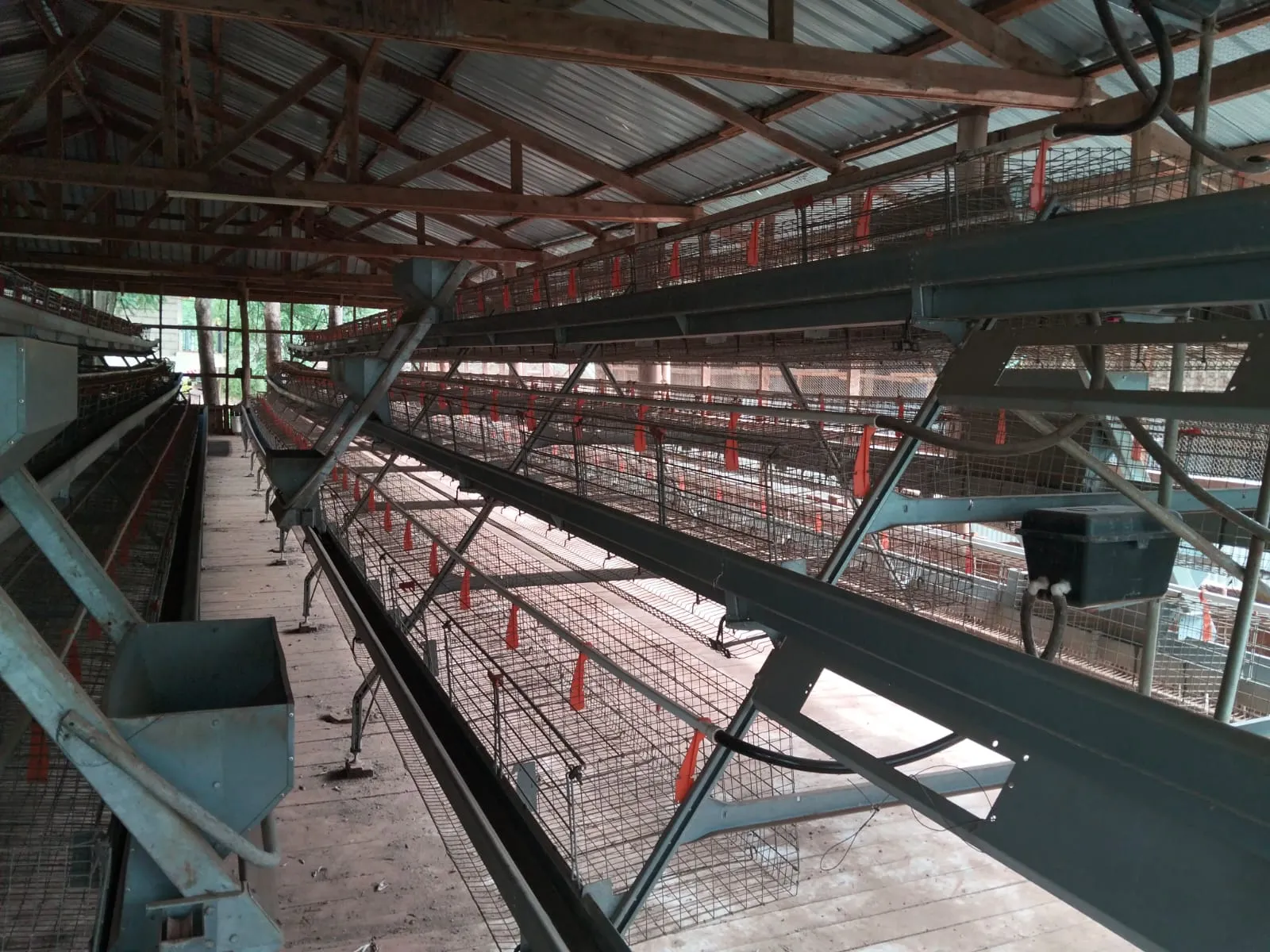 Poultry Production at Wambucha